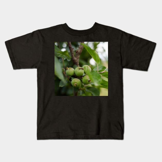 Green unripe apples Kids T-Shirt by naturalis